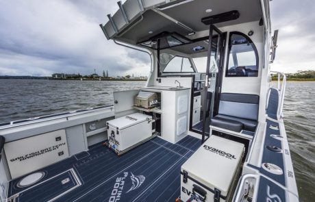 3000 platinum sports