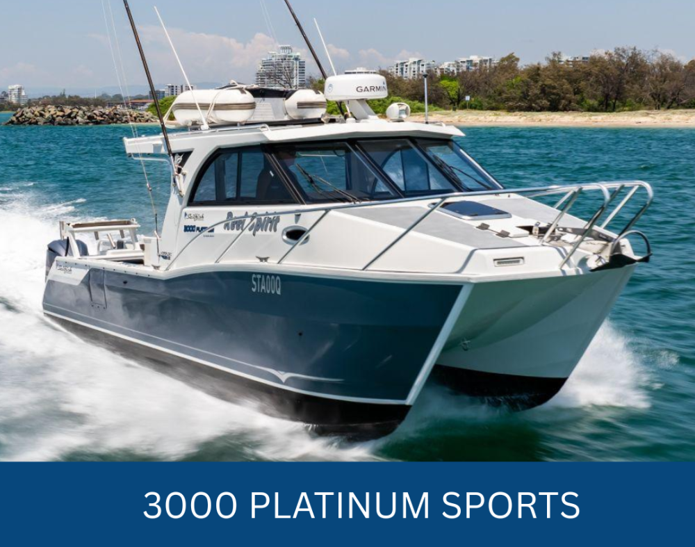 3000 Platinum Sports 3000 Platinum Sports