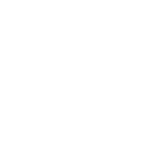 high-performance catamarans