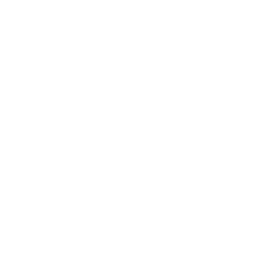 high-performance catamarans