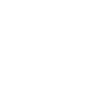 high-performance catamarans