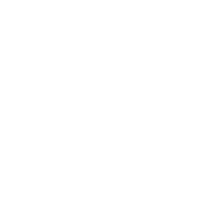 high-performance catamarans