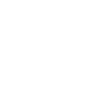 high-performance catamarans