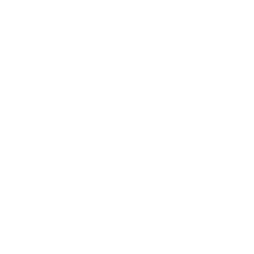 high-performance catamarans