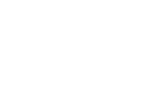 high-performance catamarans