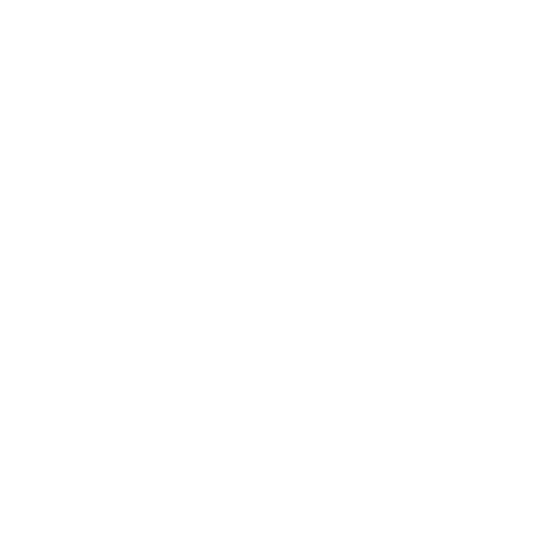 high-performance catamarans