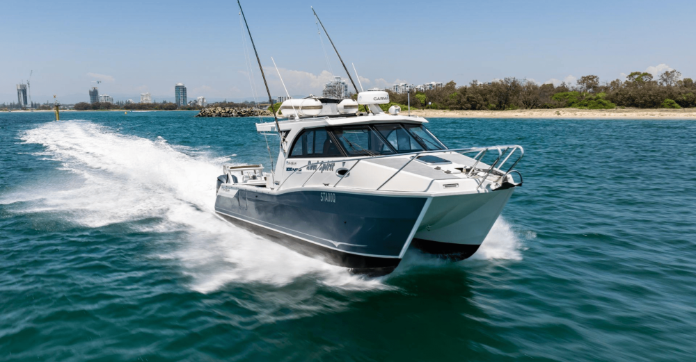 3000 platinum sports 3000 platinum sports